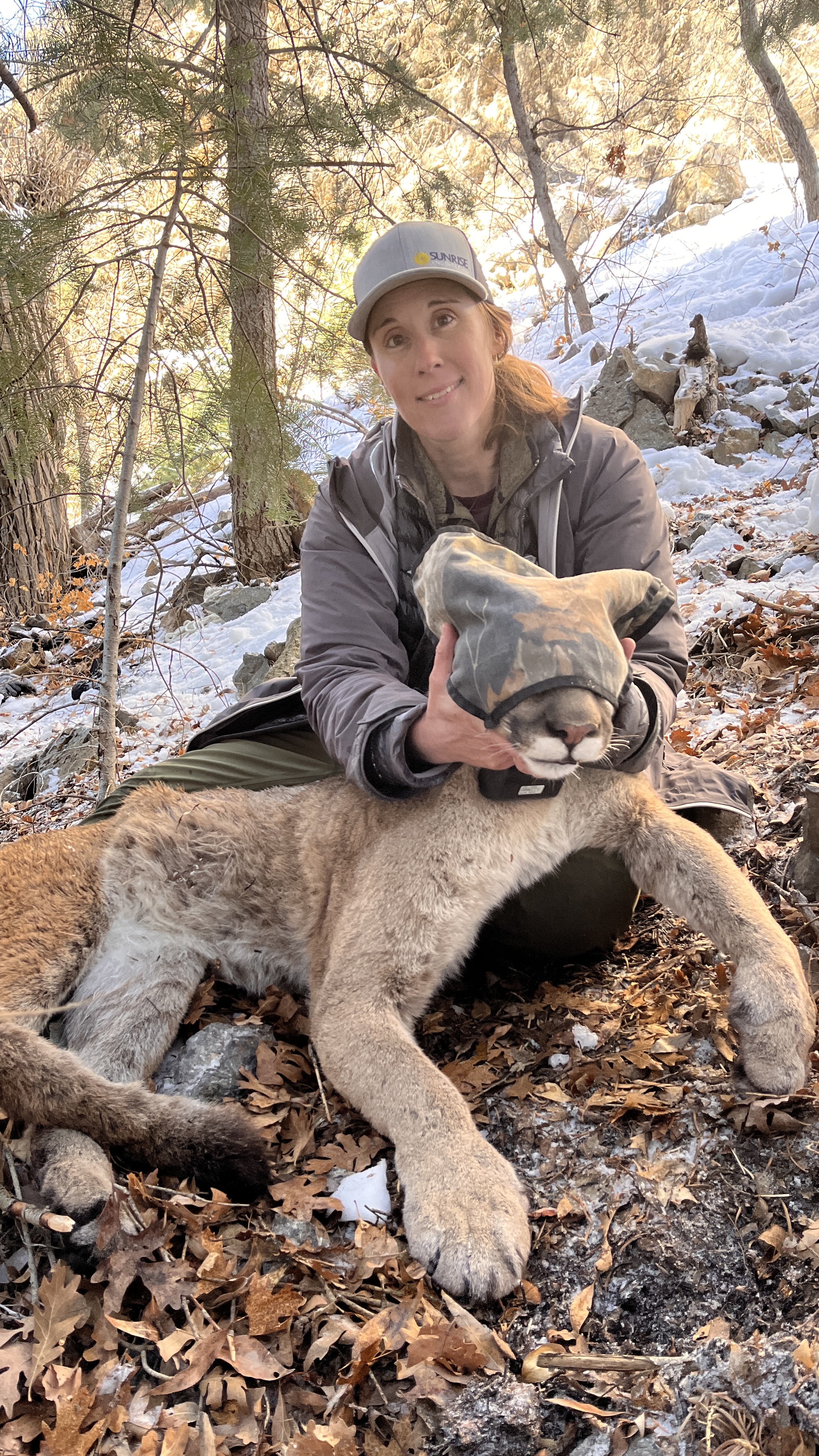 Denise Peterson presents "Stories from Lion Country"
