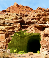 Sylvia Taylor on "Uranium"